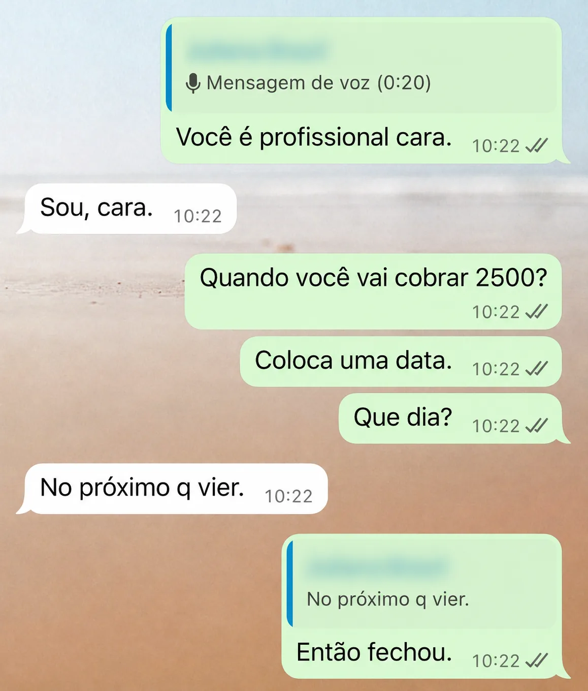 Conversa de WhatsApp: orientação para precificar em R$2.500